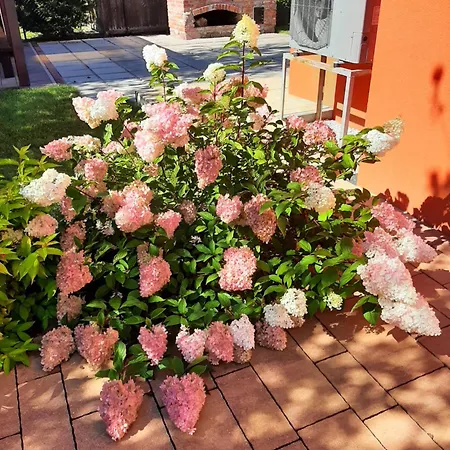 Kotwica Apartmán Rowy (Pomerania)