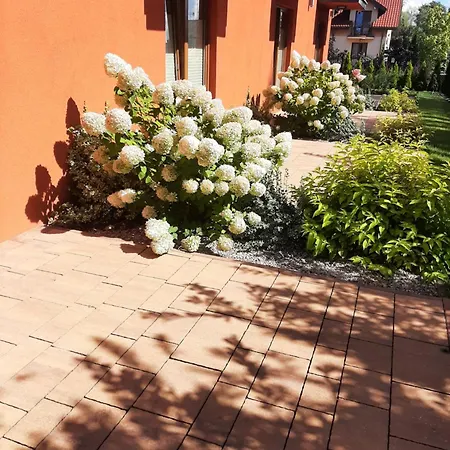 Appartamento Kotwica Rowy (Pomerania)