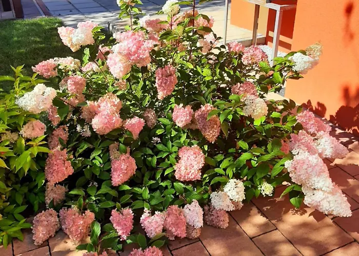 Kotwica 公寓 罗威